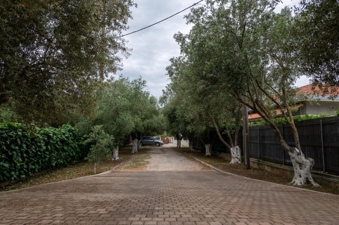 Studio De Bosset Argostoli  Ngoại thất bức ảnh