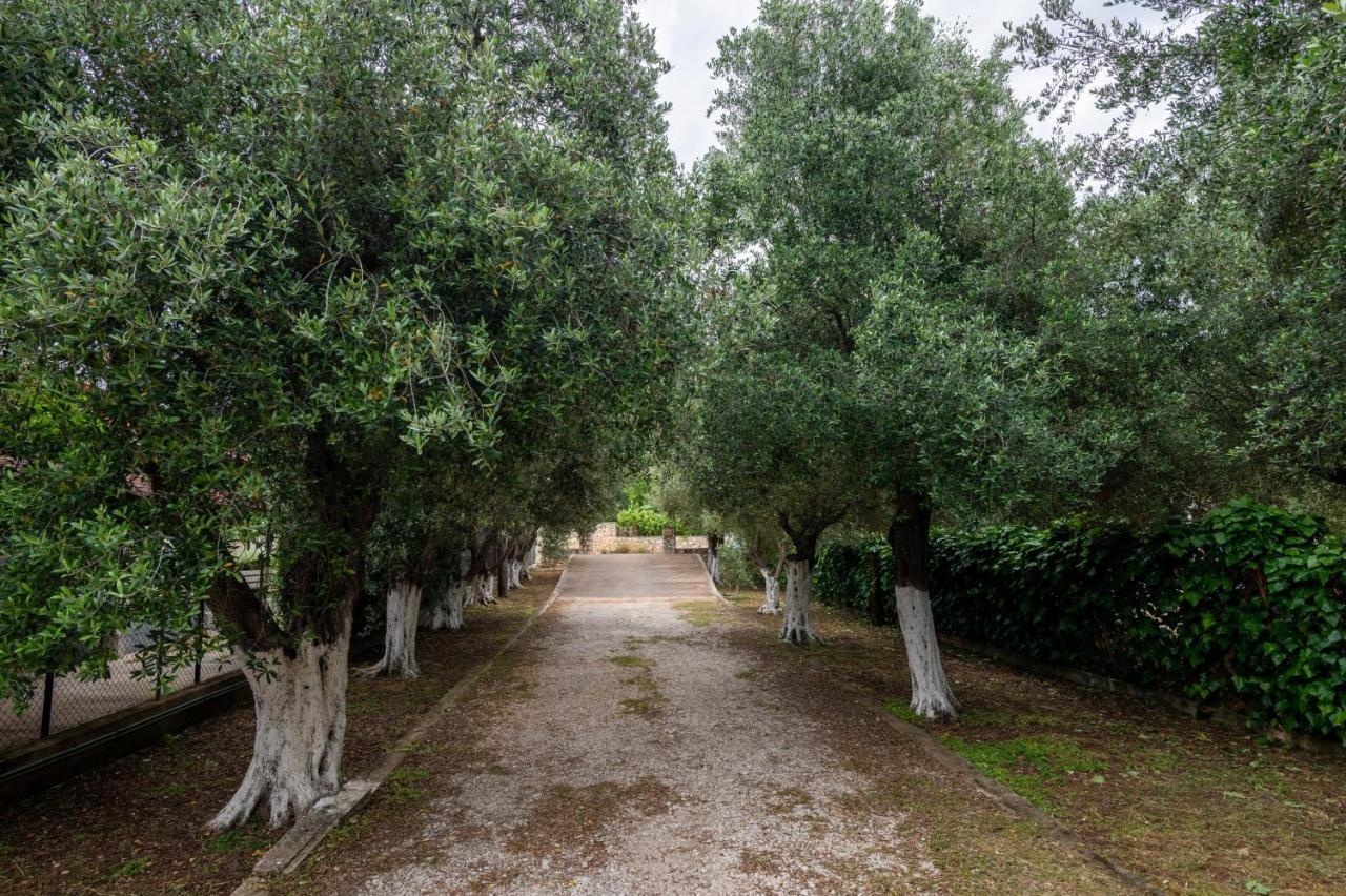 Studio De Bosset Argostoli  Ngoại thất bức ảnh